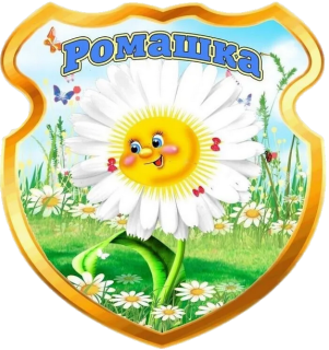Муниципальное казенное дошкольное образовательное учреждение «Детский сад № 6 «Ромашка» с. Рагули